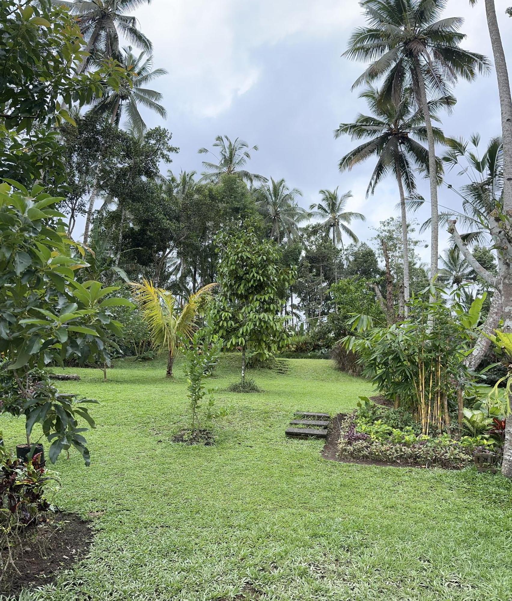 Kaja Villa Ubud Dış mekan fotoğraf